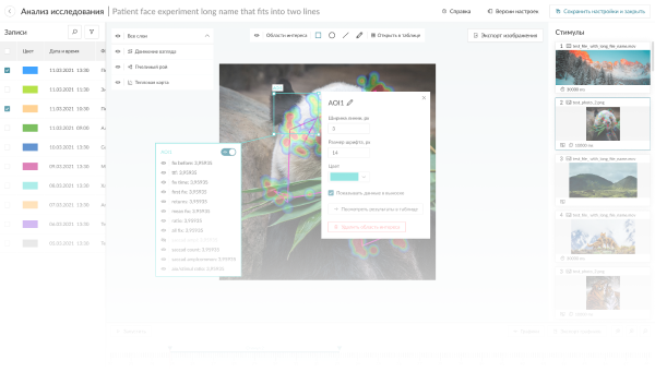 Дизайн платформы для нейроисследований. Анализ исследования.
