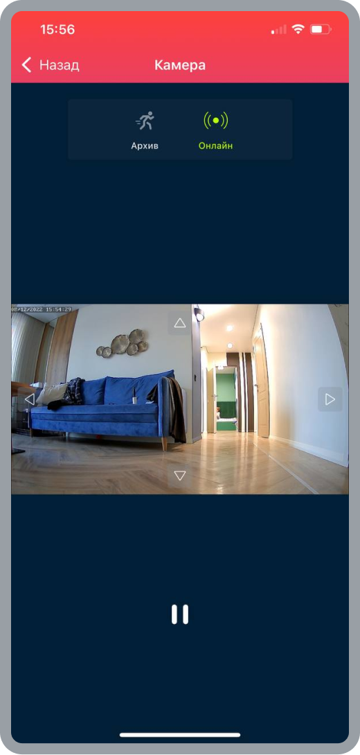 Собака Павлова ||Трансляция и архив. Мобильное приложение Электронный город. 