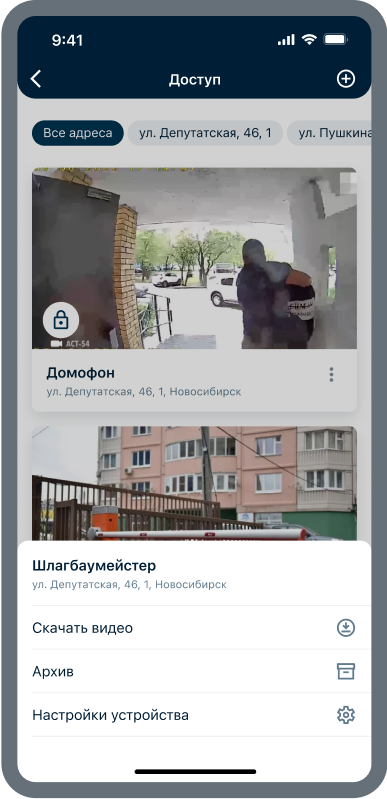 Собака Павлова || Электронный город. Отображение камер и домофонов. 