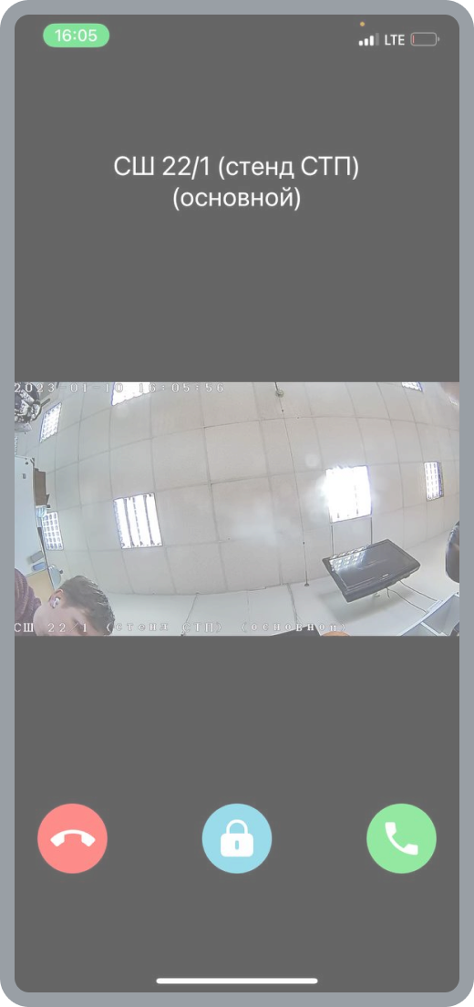 Собака Павлова || Видеозвонок домофона. Мобильное приложение Электронный город. 